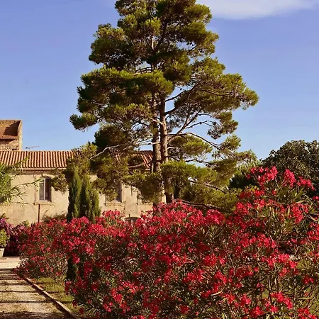 Bed & Breakfast Maison Tara Verte Au Mas Montredon