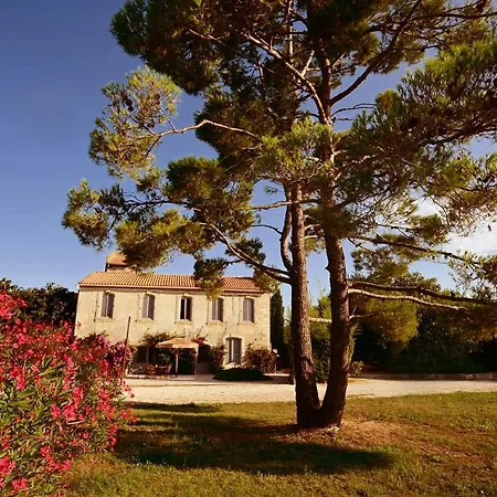 Maison Tara Verte Au Mas Montredon Bed & Breakfast *