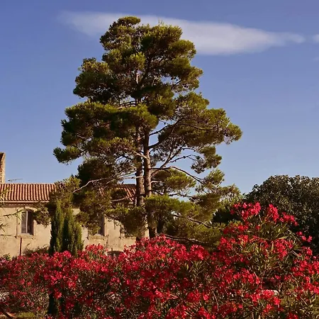 Maison Tara Verte Au Mas Montredon Bed & Breakfast *