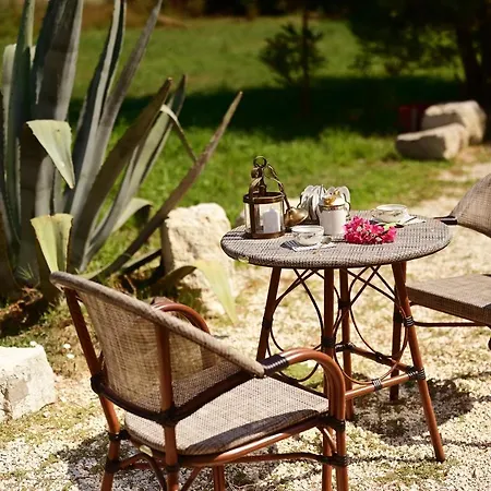 Bed & Breakfast Maison Tara Verte Au Mas Montredon