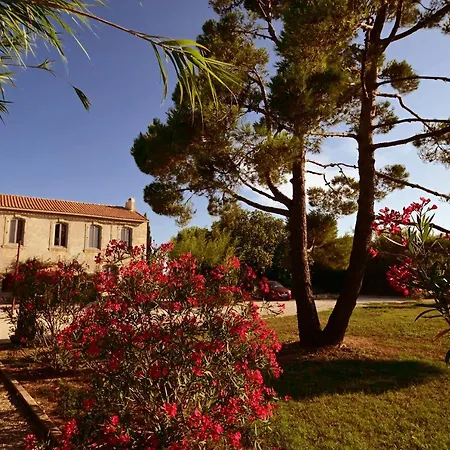 Bed & Breakfast Maison Tara Verte Au Mas Montredon Arles
